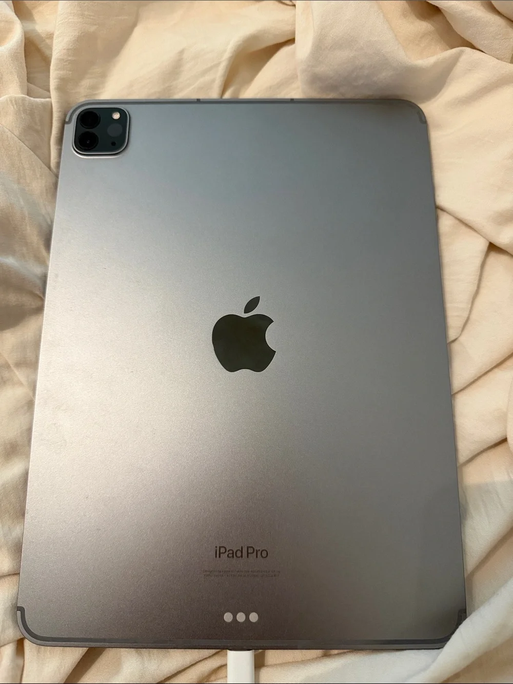 iPad Pro 11-inch 4th generation (WiFi and cellular - 256gb)